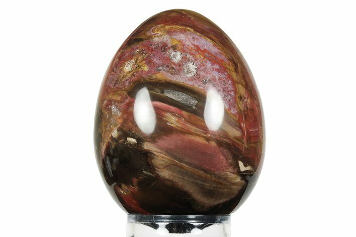 Colorful, Polished Petrified Wood Egg - Madagascar #245364